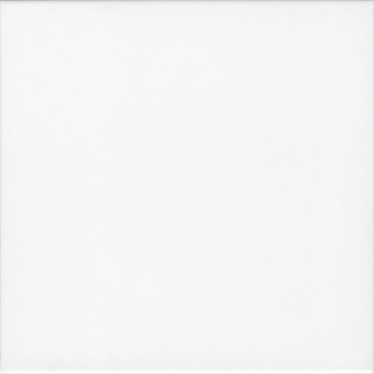 Plaka White Matt Porcelain Wall and Floor Tiles – 20 x 20cm
