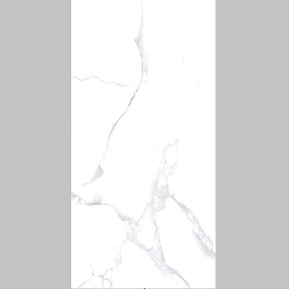 Alpine White Gloss Marble Tiles