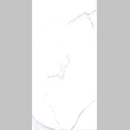 Alpine White Gloss Marble Tiles