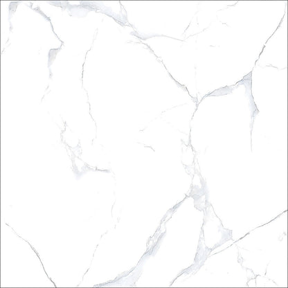 Alpine White Marble Gloss Tiles 600x600