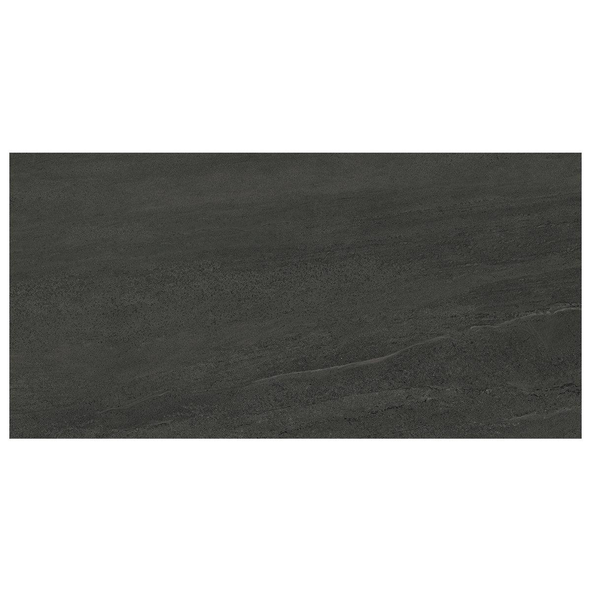 A rectangular dark charcoal gray stone or concrete-look tile with subtle natural texture and veining, shown against a white background.