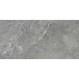 Cut Sample: Indic Grey Porcelain Wall and Floor Tiles