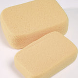 Large Hydro Sponge