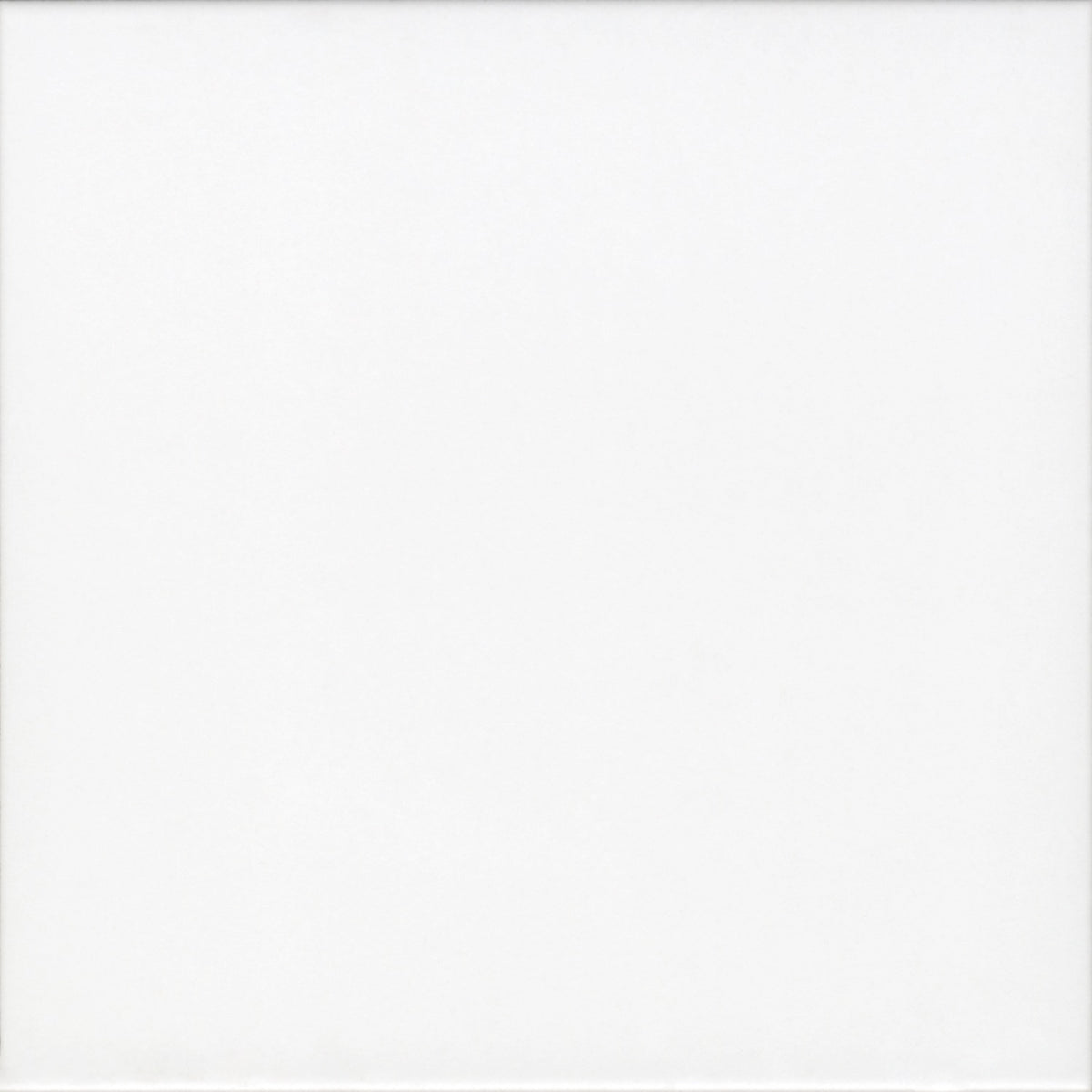 Plaka White Matt Porcelain Wall and Floor Tiles – 20 x 20cm