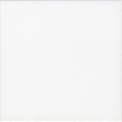 Plaka White Matt Porcelain Wall and Floor Tiles – 20 x 20cm