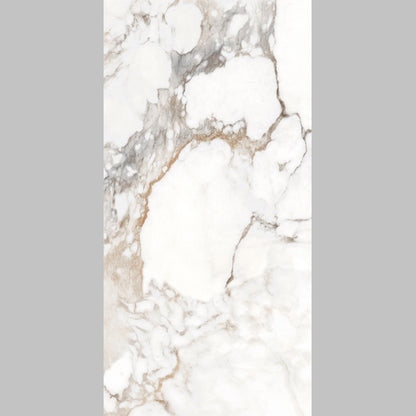 Safari Marble Look Porcelain Tiles - Gloss